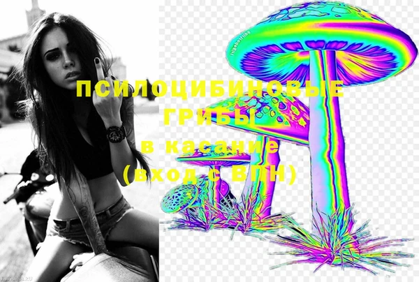 PSILOCYBIN Богородск